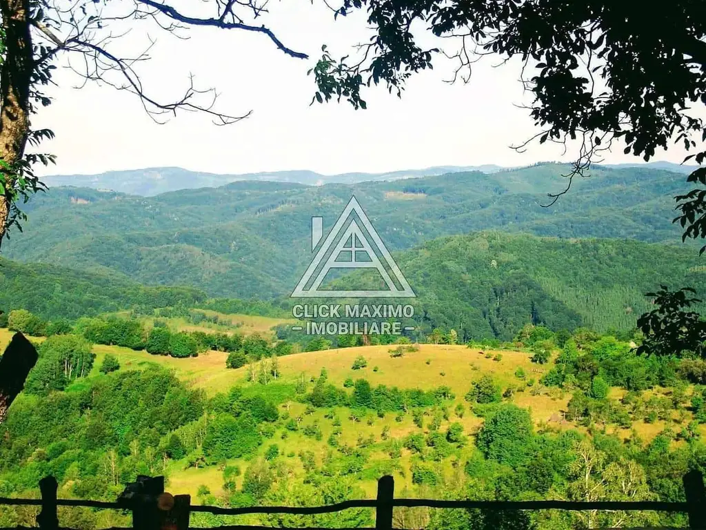 CASĂ și TEREN 85.000 mp – Casa părintească Părintele Arsenie Boca