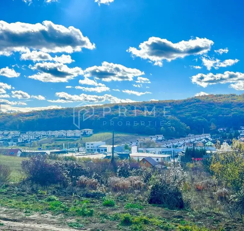 Teren cu potențial multiplu de dezvoltare – Corunca, E60, 10.000 mp