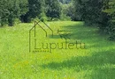Teren Intravilan | 1500 MPU | Tocile, Comuna Sadu
