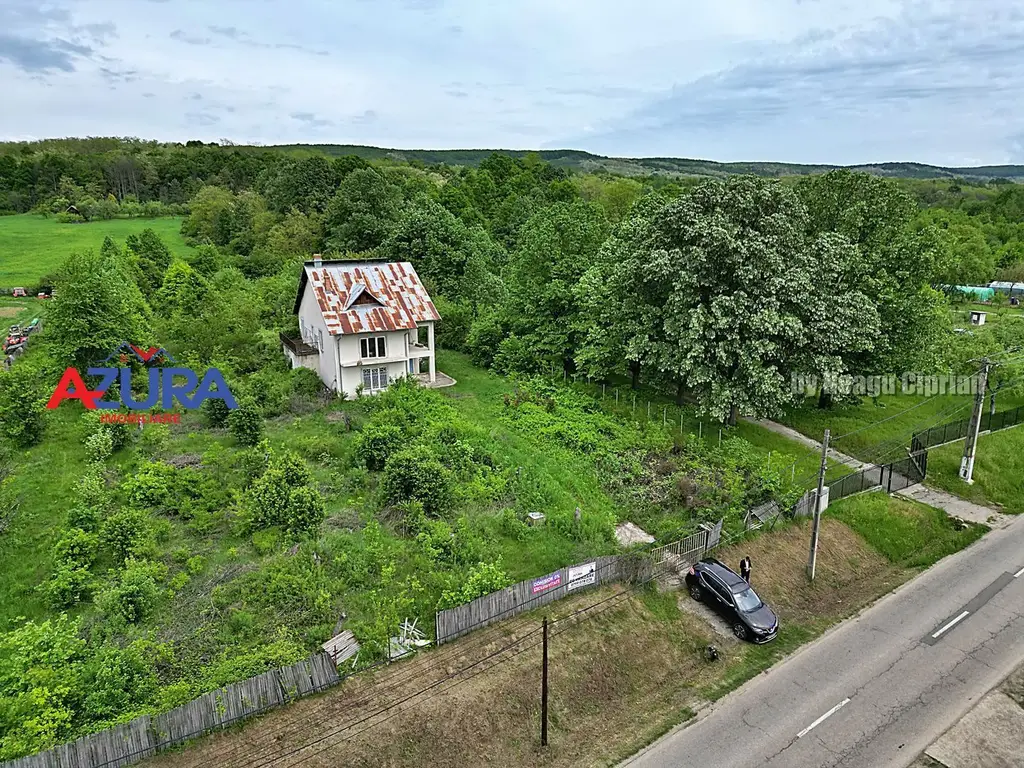 AZURA Imobiliare - Budeasa, Teren 5.069 mp, Casa BONUS