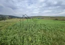 Teren | 1.500 MPU | Bradu