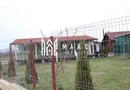 Teren Sebesul de Sus I 1100 mp I facilitati in apropiere