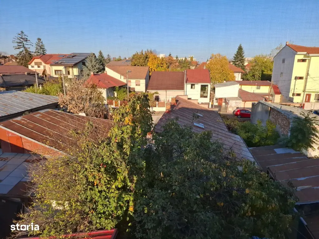 Casa cu mesteacan - DIRECT PROPRIETARI! - spectaculos toamna