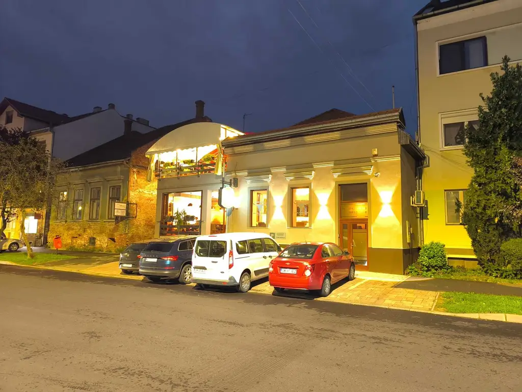 Spațiu comercial. Restaurant/Pizzerie/Pub