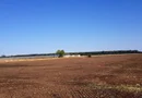 Branesti teren intravilan 30700 mp