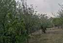 Ag EUROPA vinde casa 6 cam teren 11 ari în zona 14 Mai.