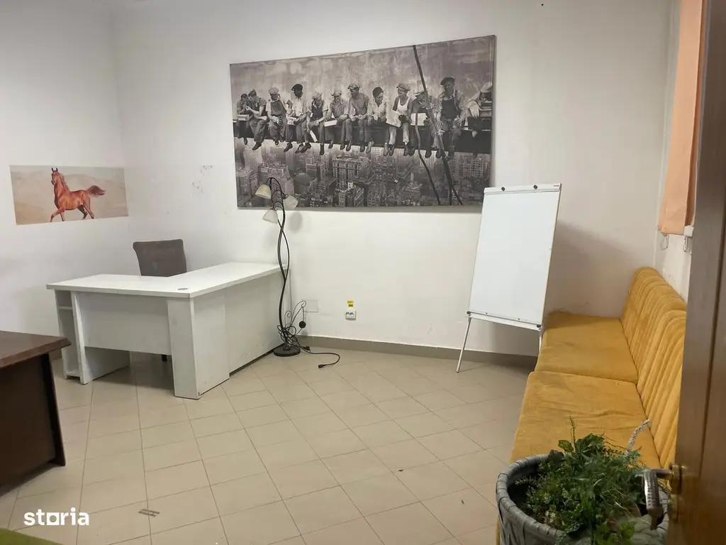 BRASADAS vinde Apt / Sp comercial + curte, zona Titulescu.