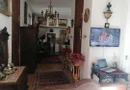 COTROCENI - Cuibușorul de nebunii al pictorului Zamfir DUMITRESCU