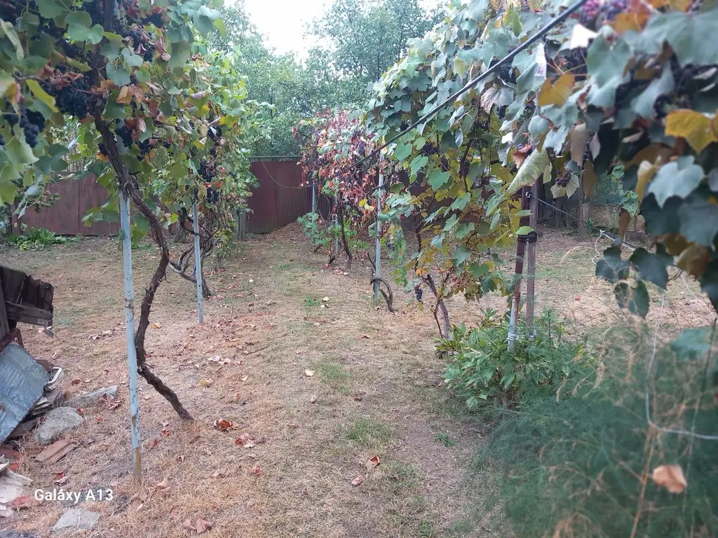 BRASADAS vinde casa 3 cam. zona Unirii teren 550mp.