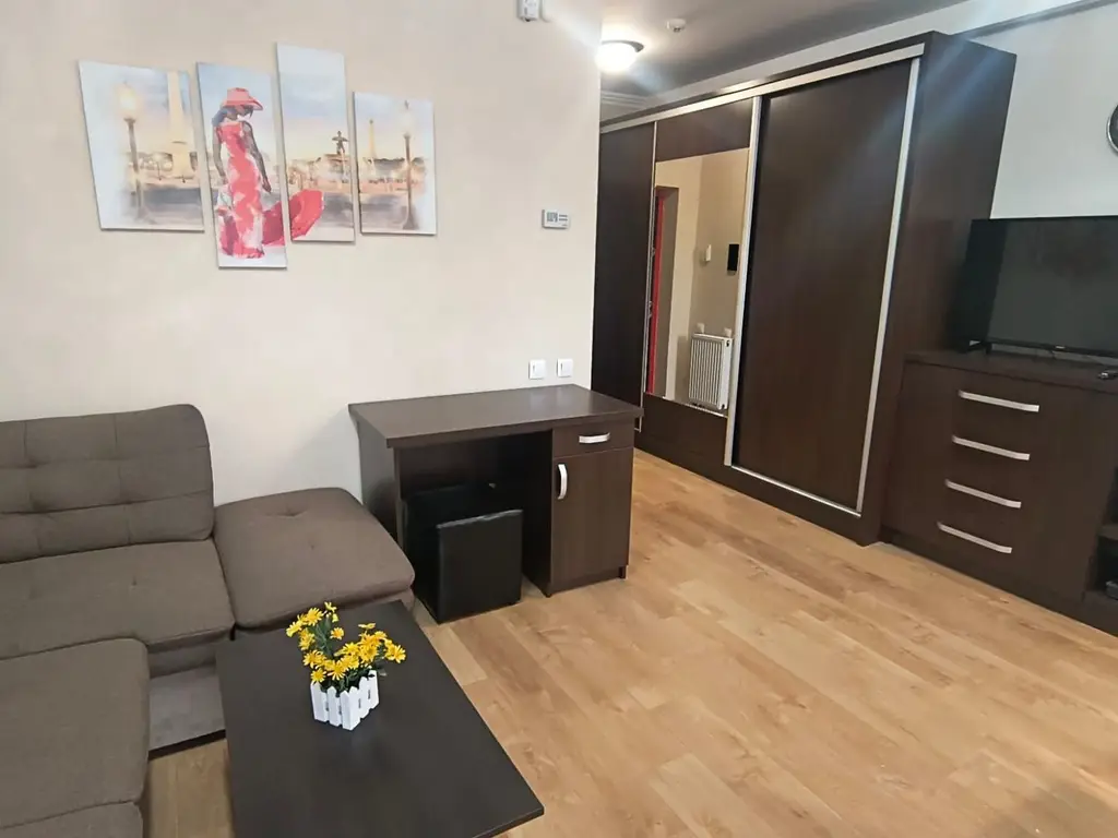 Apartament ARED cu 1 camera, St. O. Iosif, Oradea, 300 euro/luna