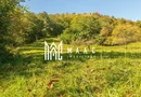 Teren | Intravilan | 2439 MPU | Fântânele