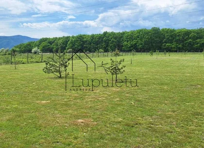 Teren Extravilan | 2.000 MPU | Intabulat | Zonă liniștită