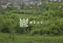 Teren | 1600 mp |Calimanesti | Jiblea