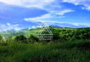 CASĂ și TEREN 85.000 mp – Casa părintească Părintele Arsenie Boca