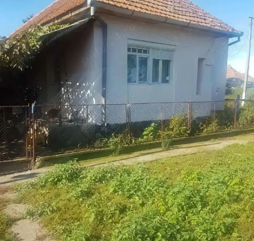 Vand casa la tara