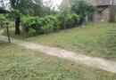 Ag BRASADAS vinde casa LOCUIBILA 3 cam teren 5.000 mp HOREA.