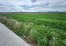 Teren intre SAG si Timisoara, langa depozit Profi