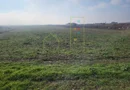 Teren agricol in intravilanul comunei Sacalaz
