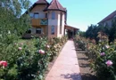 Casă 2 familii / firmă + livadă Satu Mare - Cionchești