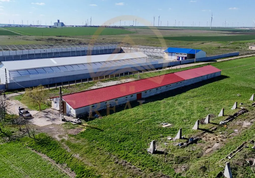 Tariverde - Ferma zootehnica functionala, 3 hectare teren intravilan!