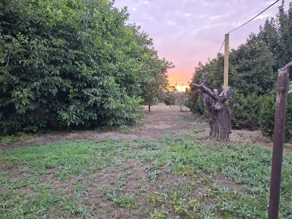 BRASADAS vinde casa individuala 2 cam teren 6 ari Titulescu.