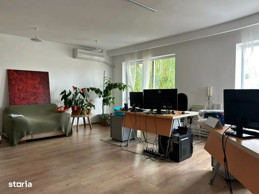 Casa cu mesteacan - DIRECT PROPRIETARI! - spectaculos toamna