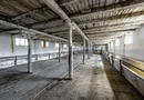 Fermă Mândruloc 2,5 ha