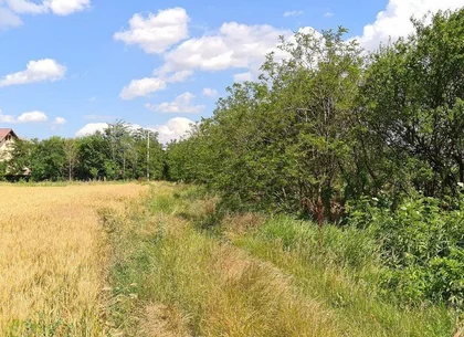 Vidra Complex Dealu Verde teren 385 mp