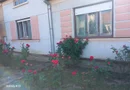 BRASADAS vinde casa 3 cam. zona Unirii teren 550mp.