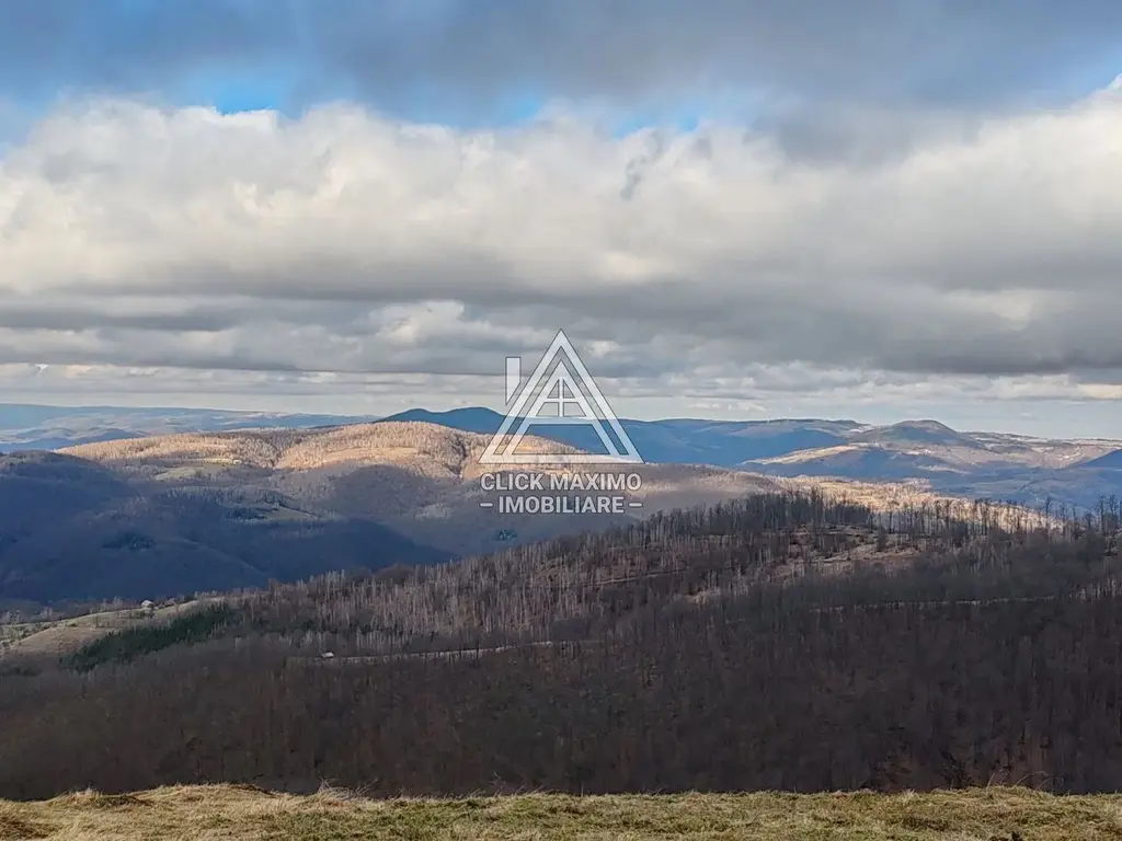 19.5 Hectare în Zona Turistică Montană – Bulz, Bihor