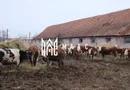 Fermă agricola funcțională de vanzare I Vurpar