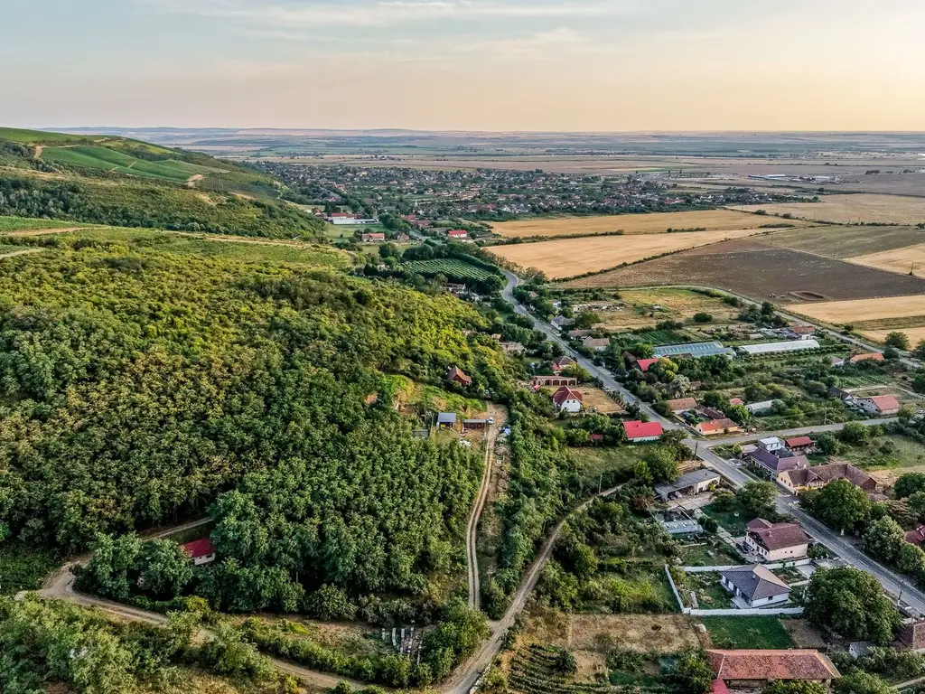 Teren pe deal, 1.150 mp, în Miniș, front 26 m, Drumul Vinului