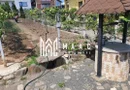 Teren Intravilan | 634 MP | Livada | Cisnadie