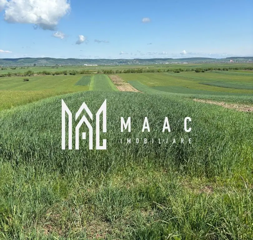 Teren extravilan 2393 mp | Gura Râului | acces, Carte Funciară