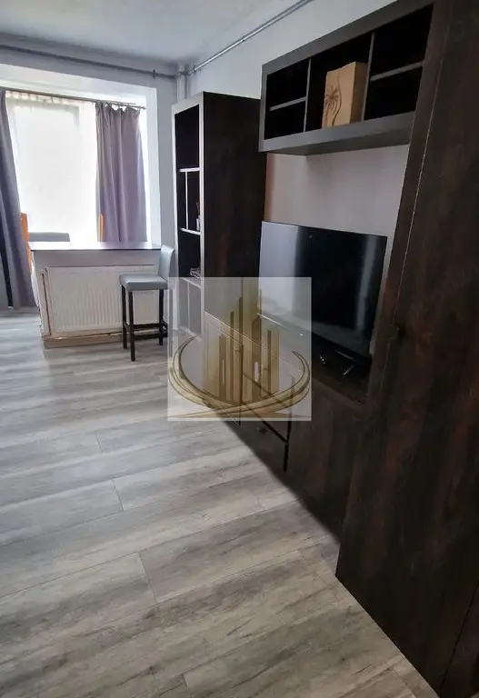 Apartament 1cameră Take Ionescu