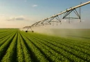 Platforma agro-industriala integrata–aproape 2.000 ha teren cultivabil