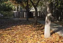 Exclusivitate! Proprietate in Sendreni, jud. Galati - 59.900 EUR
