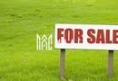 Teren intravilan | 152mp MP | Pretabil investitie | Paltinis