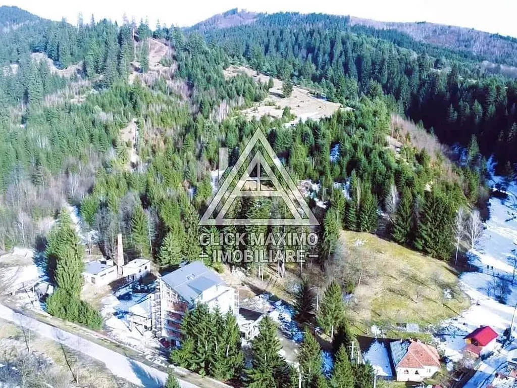 Teren 8 ha cu 15 izvoare minerale, lângă Câmpulung Argeș