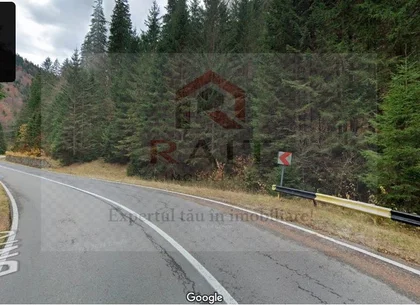 TEREN EXTRAVILAN PADURE PISCUL NEGRU ARGES
