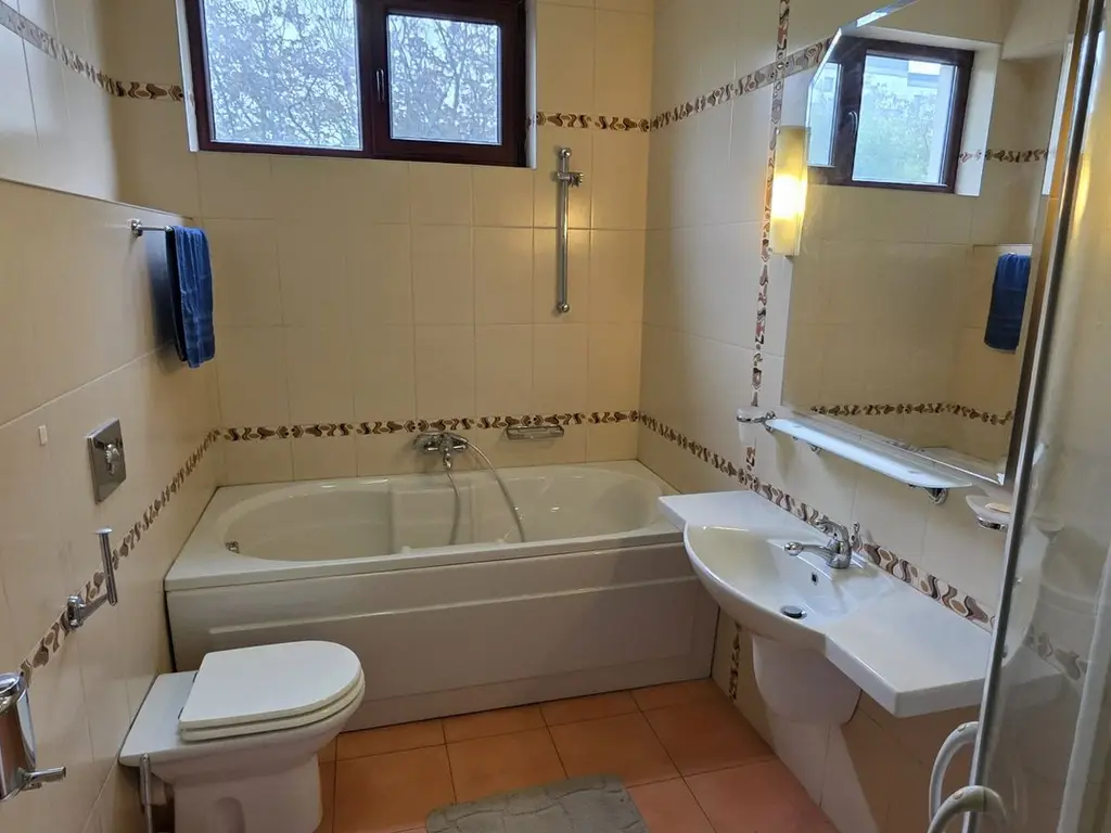 Baneasa Teisani vila 7 camere teren 1000 mp