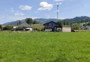 Casă montană cu 3.000 mp teren | Dorna Arini – lângă Vatra Dornei