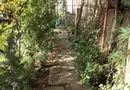 Casă și teren zonă ultracentrală,560 000 euro