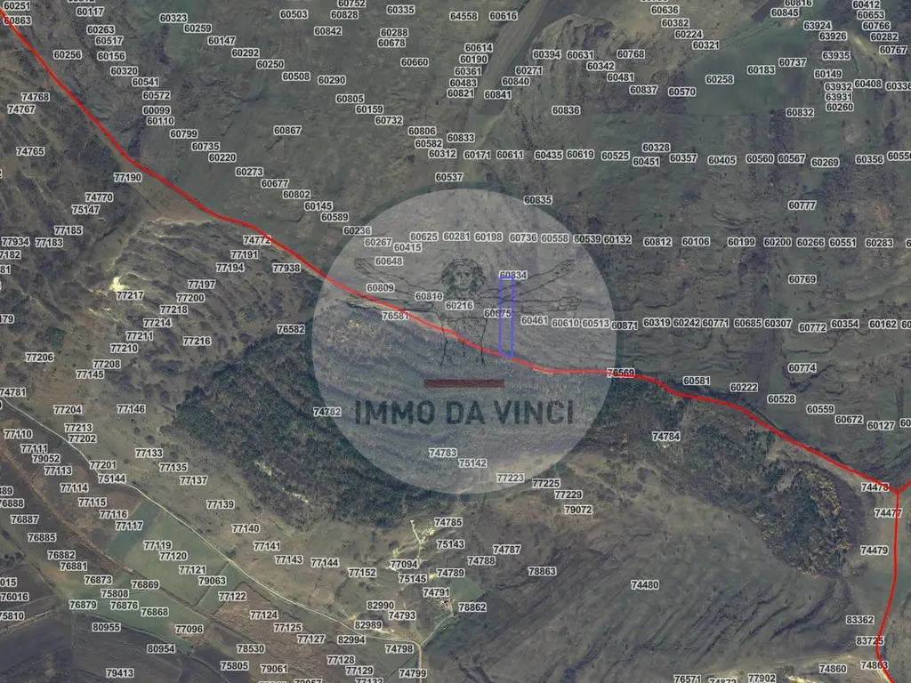 Pachet investitie terenuri Borșa Cluj 37.839 mp | 12.039 mp intravilan