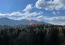 2 camere, intim, semineu, Silver Mountain