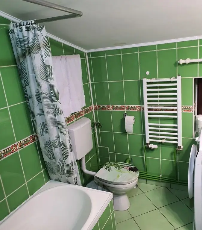 BRASADAS închiriază ap 2 cam la MANSARDA zona Dorobanti.