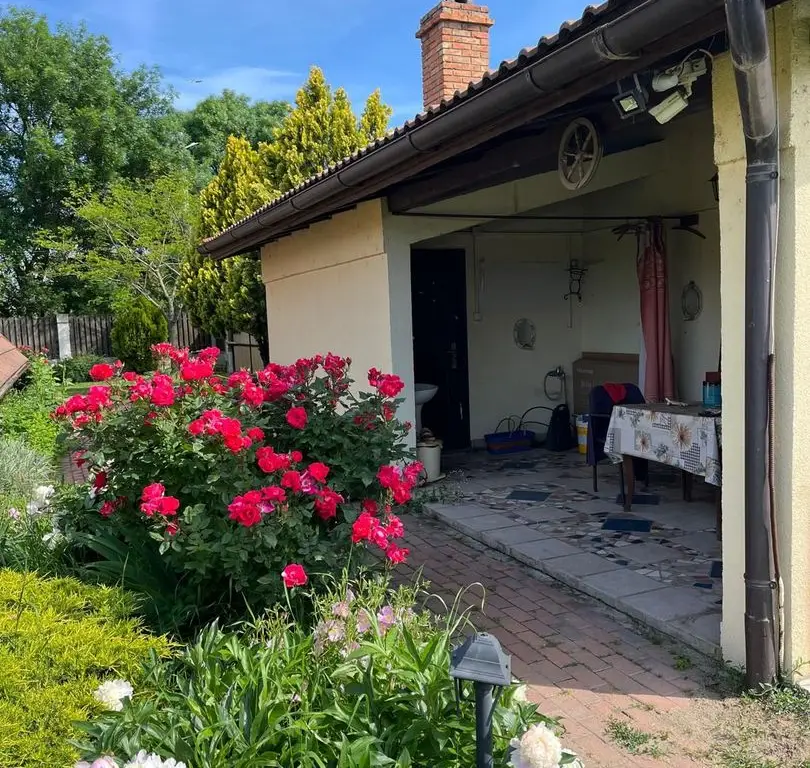 Casă elegantă, spațioasă, ideală pentru familie – Sanmihaiu Roman
