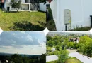 Vila Plopii fara sot, Bucium - Proprietar