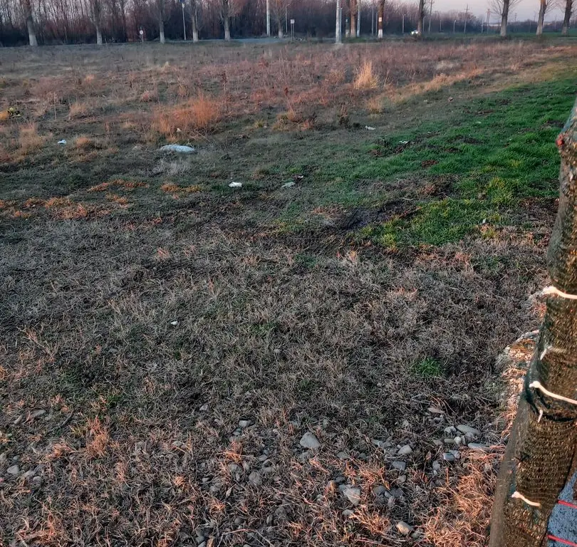 Ag BRASADAS vinde 500mp teren intravilan la SOSEA in Ganeasa