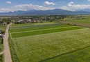 Teren 9.300 mp Stupini | Front 45.59 m la Asfalt | PUG Zonă L1c